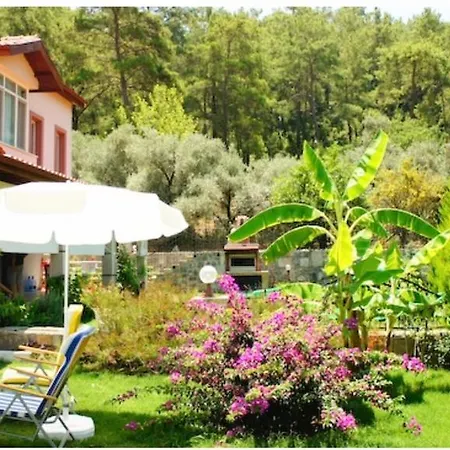 Villa Orman Gocek (Fethiye)